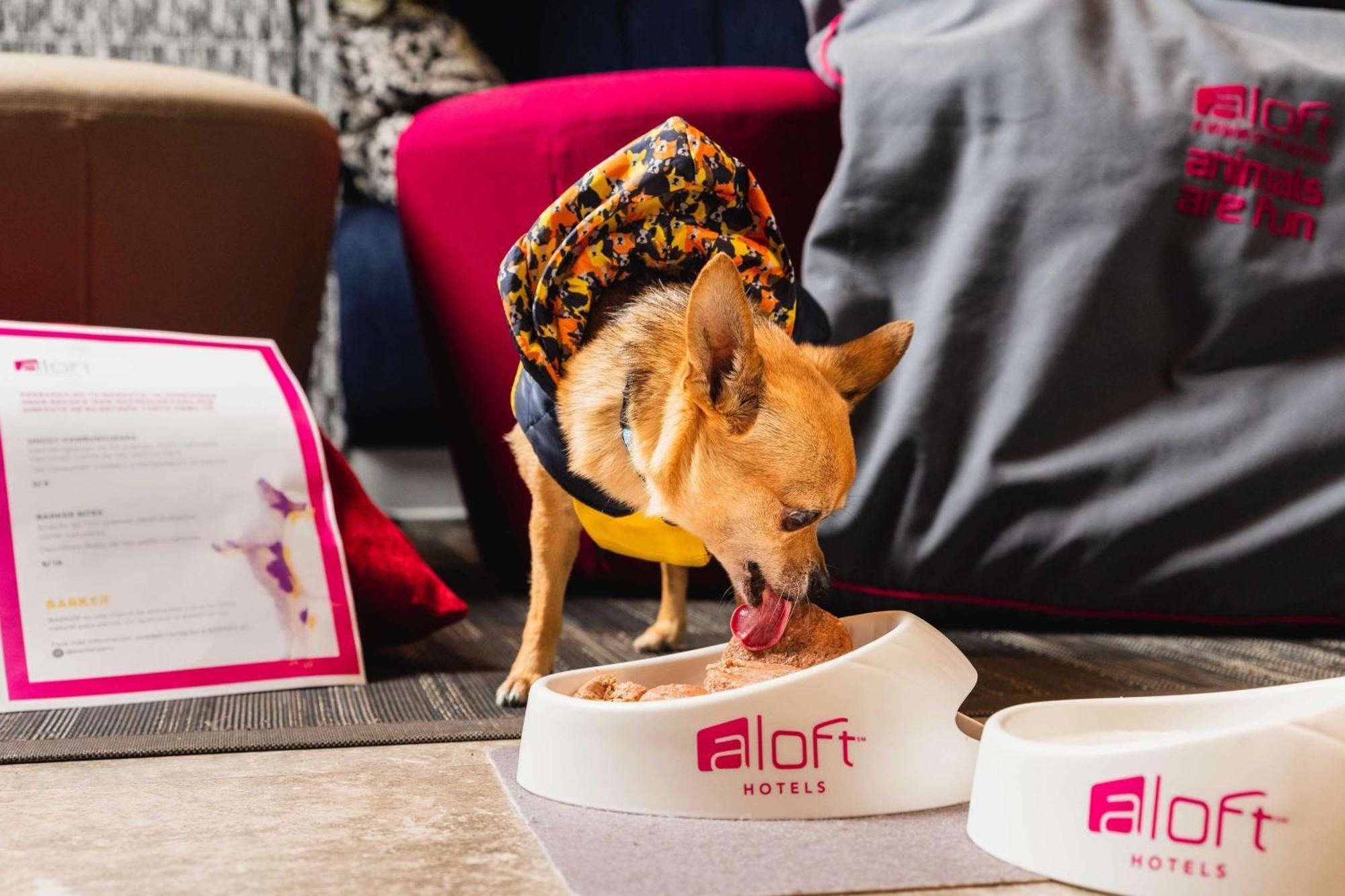 Aloft Lima Miraflores Bagian luar foto